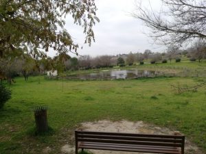 Parques Mairena del Aljarafe